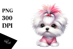Cute Maltese, Transparent PNG Product Image 1