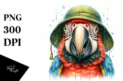 Funny Cute Macaw Smiling | Watercolor Clipart Product Image 1