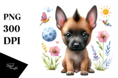 Cute Baby Malinois, Sublimation PNG Product Image 1