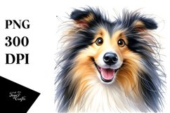 Cute Collie PNG Product Image 1