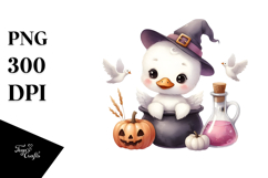 Cute Baby Swan PNG Product Image 1
