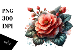 Detailed Shiny Begonia | Sublimation | Clipart Product Image 1