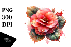 Detailed Shiny Begonia | Sublimation | Clipart Product Image 1