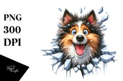 Crazy Looking Collie Product Image 3