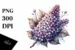 Detailed Wooden Stained Lilac Clipart Product Image 1