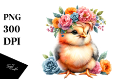 Baby Chicken, Transparent PNG Product Image 1