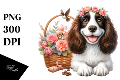 Cute English Springer Spaniel Baby Product Image 1