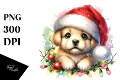 Washed Baby Puppy PNG Product Image 1