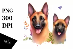 Cute Vibrant Malinois Watercolor | Sublimation | Clipart Product Image 1