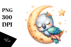 Whimsical Parrot Sleeping | Sublimation | Clipart Product Image 1