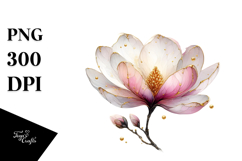 Magnolia PNG Product Image 1