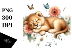 Sleeping Baby Lion, Transparent PNG Product Image 1