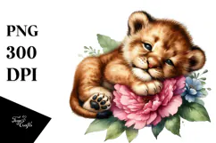 Sleeping Baby Lion, Transparent PNG Product Image 1