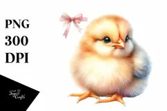 Cute Baby Chicken High Quality PNG Product Image 3