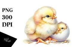 Cute Baby Chicken High Quality PNG Product Image 3