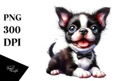 Boston Terrier Portrait, Transparent PNG Product Image 1