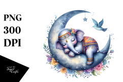 Baby Elephant Dressed for Summer PNG Product Image 1