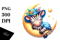 Cute Baby Zebra Dressed for Summer PNG Product Image 1