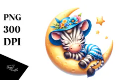 Cute Baby Zebra Dressed for Summer PNG Product Image 1