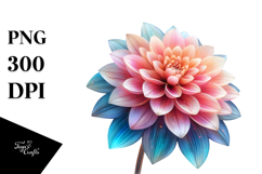 Dahlia, Transparent PNG Product Image 1