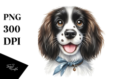 Happy English Springer Spaniel, Transparent PNG Product Image 1