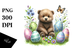 Cute Baby Bear, Transparent PNG Product Image 1