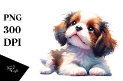 Playful Baby Brittany PNG Product Image 3