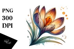 Detailed Crocus Clipart Product Image 3