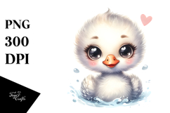 Cute Baby Swan PNG Product Image 1