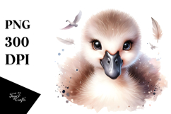 Cute Baby Swan PNG Product Image 1