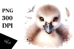 Cute Baby Swan PNG Product Image 1