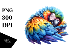 Sleeping Baby Macaw PNG Product Image 1