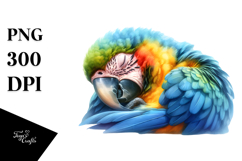 Sleeping Baby Macaw PNG Product Image 1