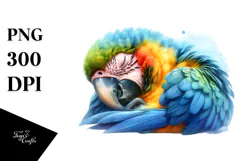 Vibrant Baby Macaw Sleeping Cloud | Sublimation Clipart Product Image 1
