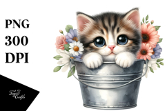 Cute Baby Cat by the Bucket, Transparent PNG Product Image 1