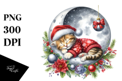 Sleeping Baby Kitten PNG Product Image 1