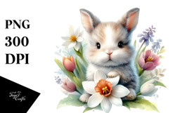 Sublimation|Clipart Product Image 1