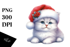 Adorable Baby Cat Png Product Image 1