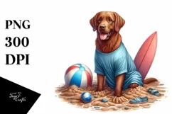 Chesapeake Bay Retriever Sitting in Sand Sublimation Clipart Product Image 3