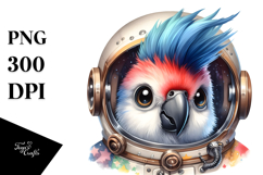 Cute Energetic Baby Macaw Product Image 1