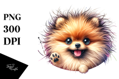 Cute Pomeranian, Transparent PNG Product Image 1