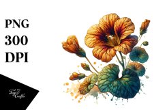 Detailed Stained Nasturtium | Clipart Product Image 1