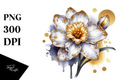 Detailed Shiny Narcissus Watercolor Clipart Product Image 3