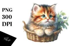 Kitten with Big Eyes, Digital Watercolor PNG Product Image 1