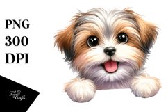 Cute Funny Havanese Watercolor Clipart Product Image 3