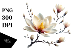 Magnolia Splash PNG Product Image 1