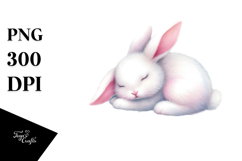 Cute Pastel Bunny Sleeping Clipart Product Image 1