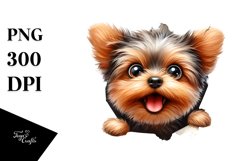 Funny Crazy Yorkipoo Sticking Out Through White Paper | Product Image 3