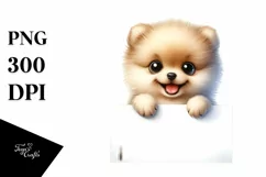Cute Funny Pomeranian Watercolor Clipart Product Image 1