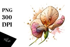Watercolor Stained Sweet Pea | Clipart Product Image 3